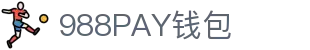 988PAY钱包 - 安全支付工具